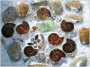 Ammonite: Какво изглежда и какви имоти има?