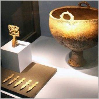 История и особености на златни скитници