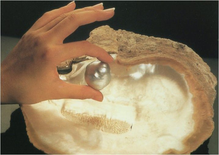 Перли: Какъв е този камък и къде произвеждат, свойства и видове