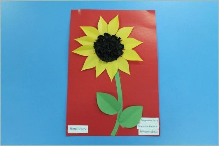 Апликации на темата & # 171 + Sunflower & # 187 +