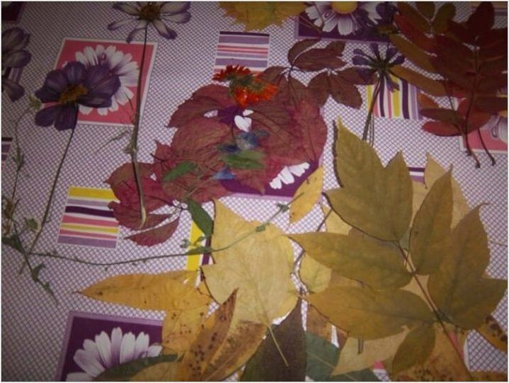Appliques & # 171 + Autumn Bouquet & # 187 + лист