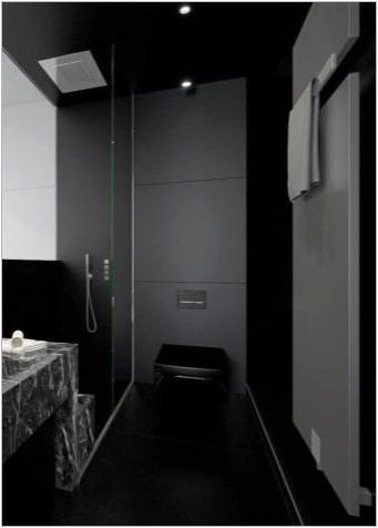 Черни тоалетни: видове, избор и опции в интериора