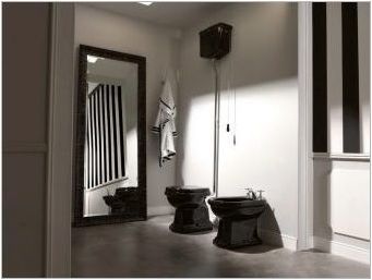 Черни тоалетни: видове, избор и опции в интериора