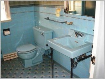 Цветни тоалетни: видове и опции в интериора