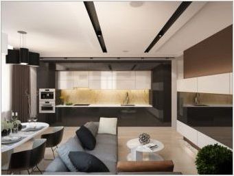 Дизайн Кухня - дневна 25 кв. М: Най-добри проекти и дизайнерски опции