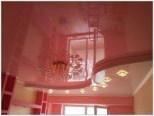Дуплетни тавани за залата: Характеристики и опции за дизайн