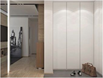 Ъглов шкаф към коридора: дизайн, размери и селекция
