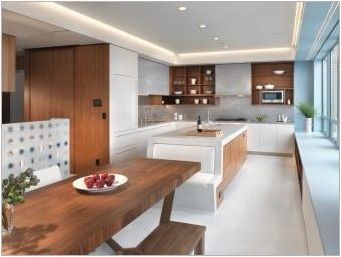 Интериорен дизайн Кухня в модерен стил