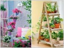 Как да използвате цветя за декориране на балкон и лоджия?
