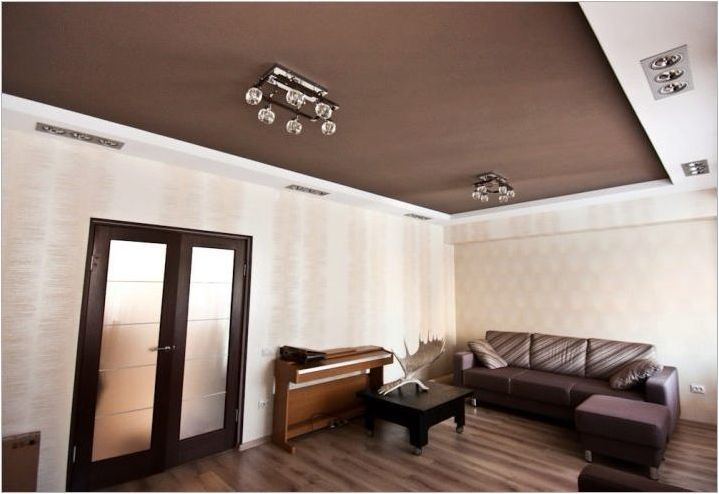 Матови опънати тавани за коридора: видове, избор, примери