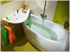 Мивка над банята: функции, видове и съвети за избор