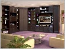 Модулни ъглови мебели за дневната: най-добрите опции и съвети по избор