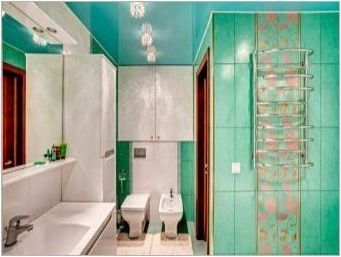 Окачени тавани в банята: функции, разновидности, дизайн