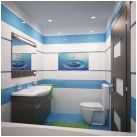 Опции за дизайн на баня, комбинирани с 5 kV тоалетна. М