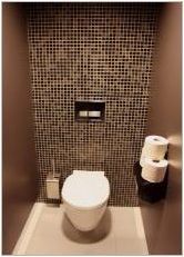 Плочки в тоалетната: видове и идеи за дизайн