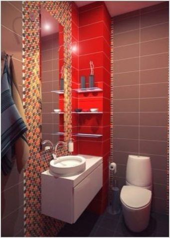 Плочки в тоалетната: видове и идеи за дизайн