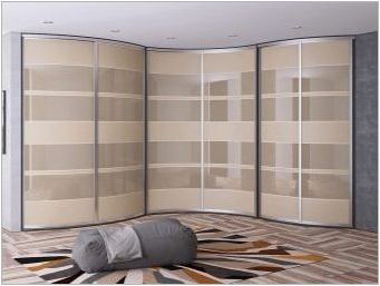 Плъзгащ гардероба в хола: изглед, селекция и опции в интериора