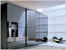 Плъзгащ гардероба в хола: изглед, селекция и опции в интериора