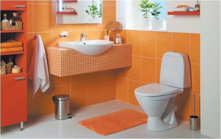 Santek тоалетни седалки: функции и препоръки