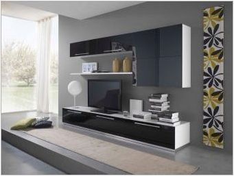 Шкафове в хола в модерен стил: видове и избор
