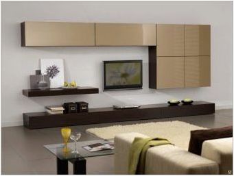 Шкафове в хола в модерен стил: видове и избор
