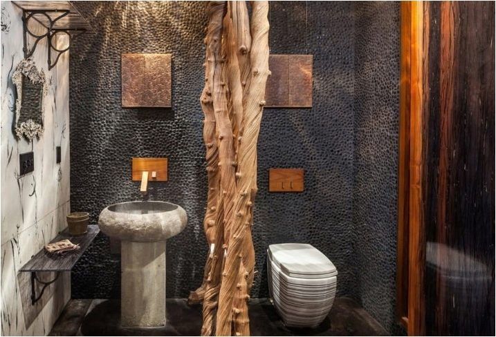 Таванска тоалетна: препоръки за дизайн и красиви примери