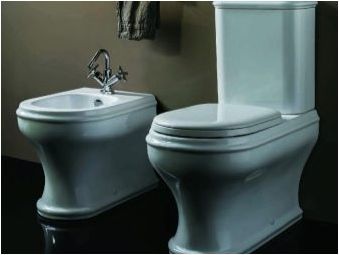 Тоалетни купи с наклонена освобождаване: сортове, съвети за избор и смляно тънкости