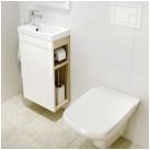Тръби в тоалетната: Преглед на сортовете и критериите за подбор