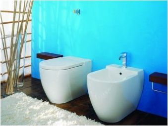 Вградени тоалетни: характеристики и разновидности, плюсове и минуси