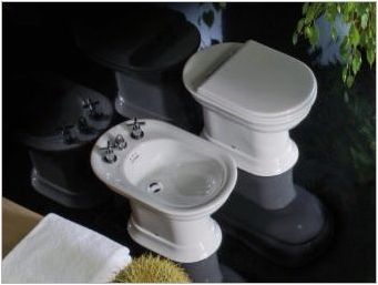 Захранващи тоалетни: Характеристики, видове и инсталации
