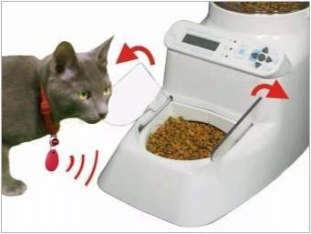 Автоматични котешки хранилки: видове, правила за избор и производство
