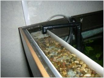 Биофилтър за аквариум: функции, видове и приложение