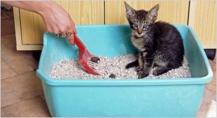 CAT тава: видове, размери и правила за избор