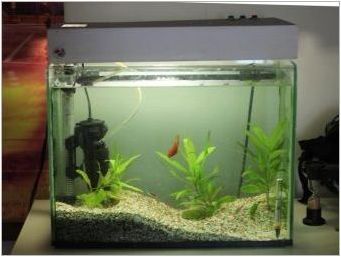 Долен филтър за аквариум: назначаване, плюсове и минуси