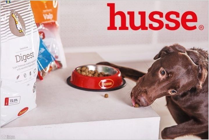 Хусс е храна за кучета