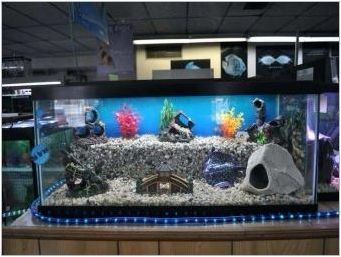 Изкуствен аквариум: видове и приложения