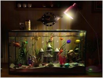 Изкуствен аквариум: видове и приложения