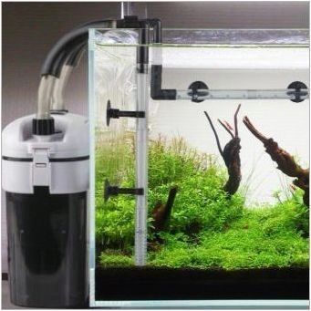 Как да инсталирате филтър в аквариума?