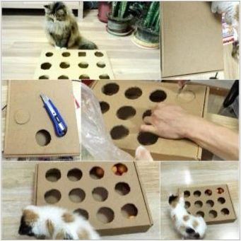 Как да направите играчка за котка, направете го сами?