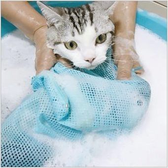 Как да си измием котката, ако се страхува от вода и се почеса?