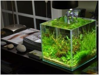 Как да си направим аквариум със собствените си ръце?