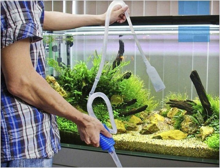 Как и какво да дезинфекцирате аквариума?