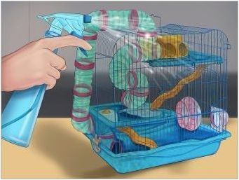Клетки за хамстери на джуунгария: какви са и как да ги почистите?