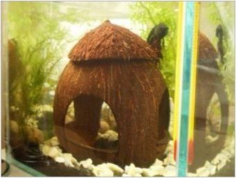 Кокос в аквариума: Как да си направим къща за риба със собствените си ръце?