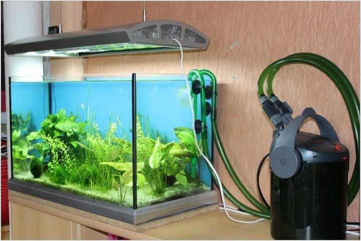 Компресори за аквариум: за това, от което се нуждаете, как да изберете и инсталирате?