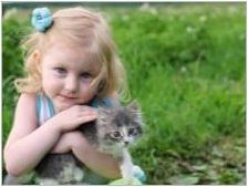 Котки за деца: Общ преглед на най-добрите породи
