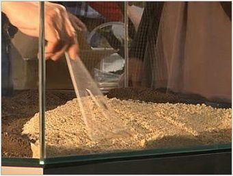 Кварцов пясък за аквариум: разновидности, избор и правила за употреба