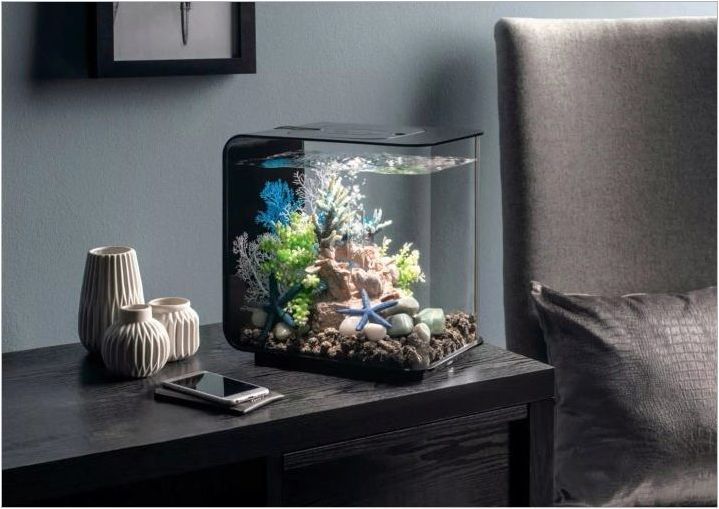 Малки аквариуми: функции, разновидности, избор и селище
