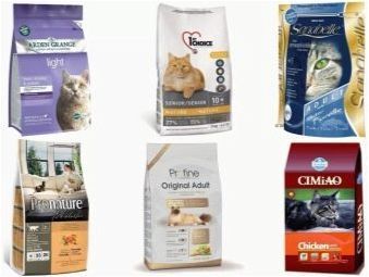 Мокра и суха храна: какво е по-добре да се хранят котката?