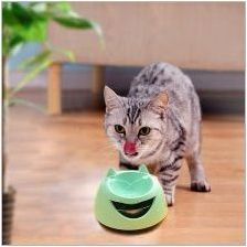 Пиячи за котки: сортове и препоръки за избор